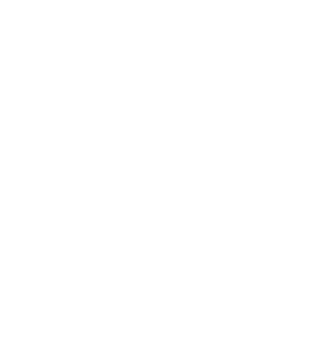 Home icon